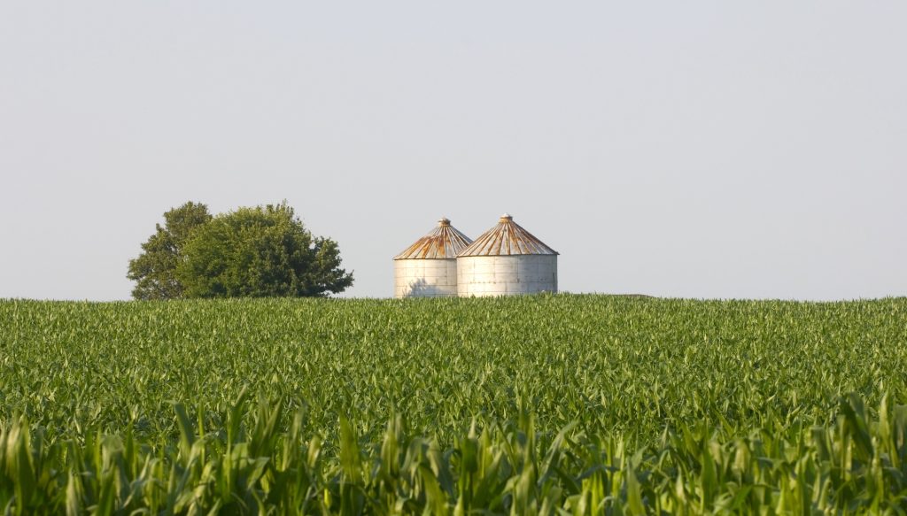 What is the Difference Between Grain Silos and Grain Bins?