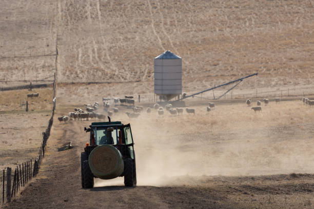 Mitigating Dust Disasters in Grain: Explosion Prevention